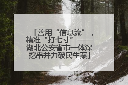 善用“信息流”，精准“打七寸”——湖北公安省市一体深挖串并力破民生案