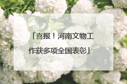 喜报！河南文物工作获多项全国表彰