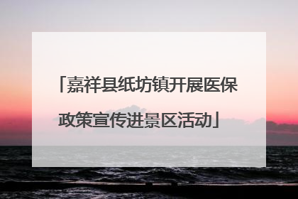 嘉祥县纸坊镇开展医保政策宣传进景区活动