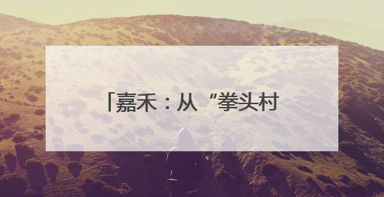 嘉禾：从“拳头村”到文明标杆 清水村的逆袭密码