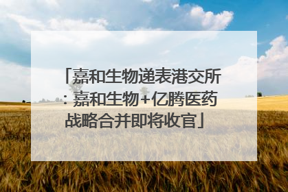 嘉和生物递表港交所：嘉和生物+亿腾医药战略合并即将收官