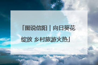 图说信阳｜向日葵花绽放 乡村旅游火热