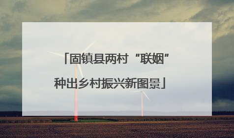 固镇县两村“联姻”种出乡村振兴新图景