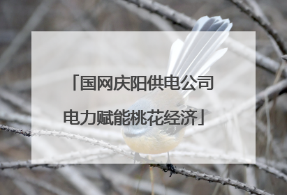 国网庆阳供电公司电力赋能桃花经济