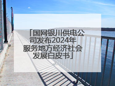 国网银川供电公司发布2024年服务地方经济社会发展白皮书