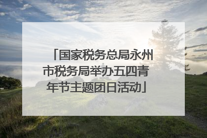 国家税务总局永州市税务局举办五四青年节主题团日活动