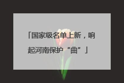 国家级名单上新，响起河南保护“曲”