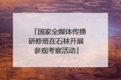 国家全媒体传播研修班在石林开展参观考察活动