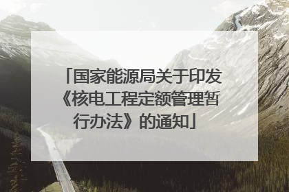 国家能源局关于印发《核电工程定额管理暂行办法》的通知