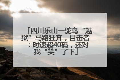 四川乐山一鸵鸟“越狱”马路狂奔，目击者：时速超40码，还对我“笑”了下