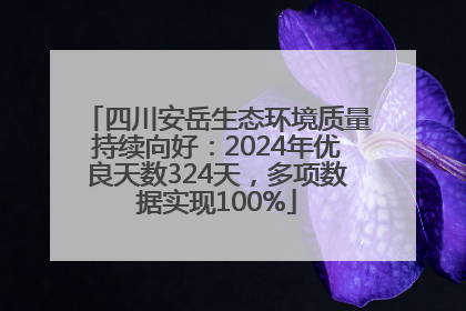 四川安岳生态环境质量持续向好：2024年优良天数324天，多项数据实现100%
