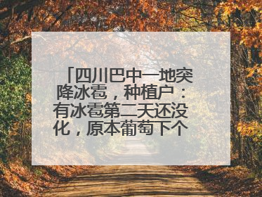 四川巴中一地突降冰雹，种植户：有冰雹第二天还没化，原本葡萄下个月上市，现在全被打落