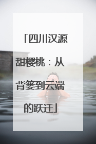四川汉源甜樱桃：从背篓到云端的跃迁