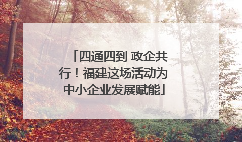 四通四到 政企共行！福建这场活动为中小企业发展赋能