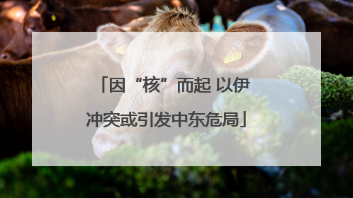 因“核”而起 以伊冲突或引发中东危局