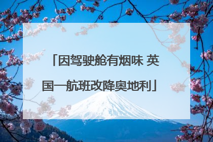因驾驶舱有烟味 英国一航班改降奥地利