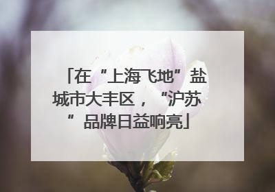 在“上海飞地”盐城市大丰区，“沪苏”品牌日益响亮