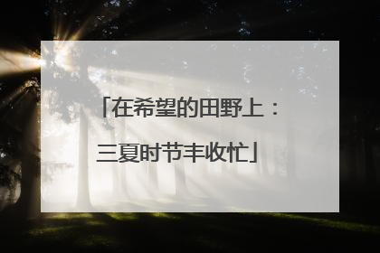 在希望的田野上：三夏时节丰收忙