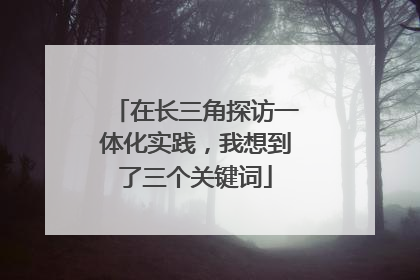 在长三角探访一体化实践，我想到了三个关键词