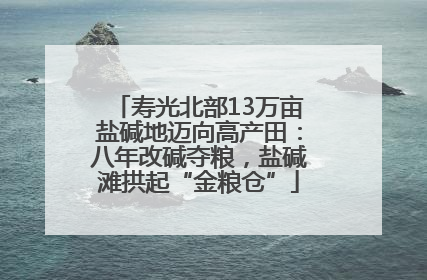 寿光北部13万亩盐碱地迈向高产田：八年改碱夺粮，盐碱滩拱起“金粮仓”