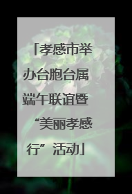 孝感市举办台胞台属端午联谊暨“美丽孝感行”活动