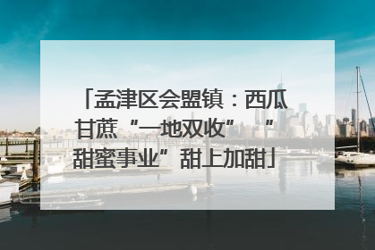 孟津区会盟镇：西瓜甘蔗“一地双收” “甜蜜事业”甜上加甜