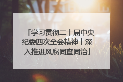 学习贯彻二十届中央纪委四次全会精神丨深入推进风腐同查同治