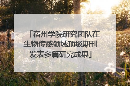 宿州学院研究团队在生物传感领域顶级期刊发表多篇研究成果