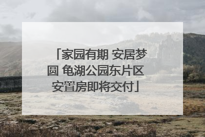 家园有期 安居梦圆 龟湖公园东片区安置房即将交付