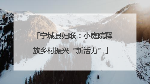 宁城县妇联：小庭院释放乡村振兴“新活力”