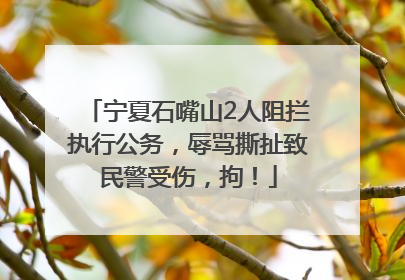 宁夏石嘴山2人阻拦执行公务，辱骂撕扯致民警受伤，拘！
