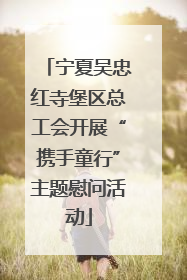 宁夏吴忠红寺堡区总工会开展“携手童行”主题慰问活动