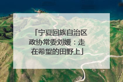 宁夏回族自治区政协常委刘媛：走在希望的田野上