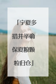 宁夏多措并举确保夏粮颗粒归仓