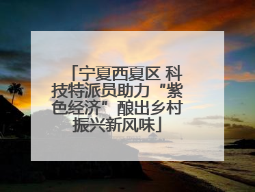 宁夏西夏区 科技特派员助力“紫色经济”酿出乡村振兴新风味