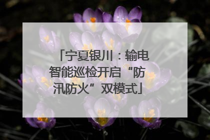 宁夏银川：输电智能巡检开启“防汛防火”双模式