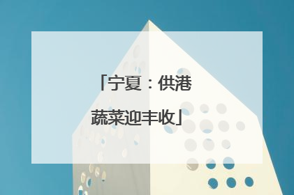 宁夏：供港蔬菜迎丰收