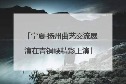 宁夏·扬州曲艺交流展演在青铜峡精彩上演