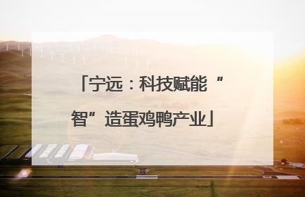 宁远：科技赋能“智”造蛋鸡鸭产业