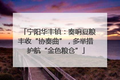 宁阳华丰镇：奏响夏粮丰收“协奏曲”，多举措护航“金色粮仓”