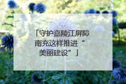 守护嘉陵江屏障 南充这样推进“美丽建设”