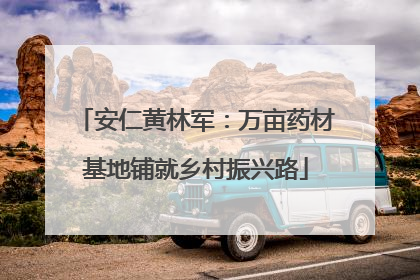 安仁黄林军：万亩药材基地铺就乡村振兴路