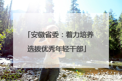 安徽省委：着力培养选拔优秀年轻干部