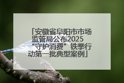 安徽省阜阳市市场监管局公布2025“守护消费”铁拳行动第一批典型案例