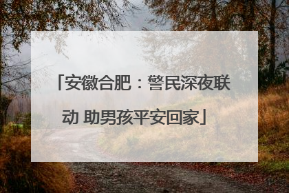 安徽合肥：警民深夜联动 助男孩平安回家