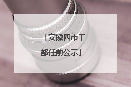 安徽四市干部任前公示