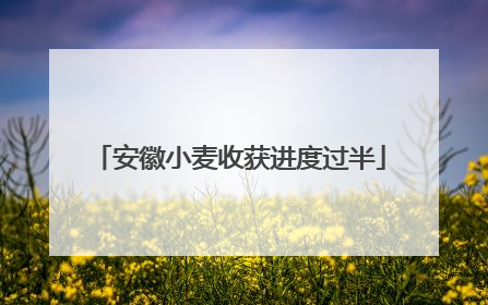 安徽小麦收获进度过半