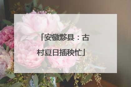 安徽黟县：古村夏日插秧忙