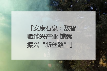 安康石泉：数智赋能兴产业 铺就振兴“新丝路”
