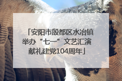 安阳市殷都区水冶镇举办“七一”文艺汇演献礼建党104周年